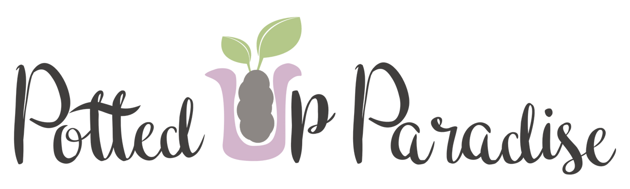 Potted Up Paradise logo