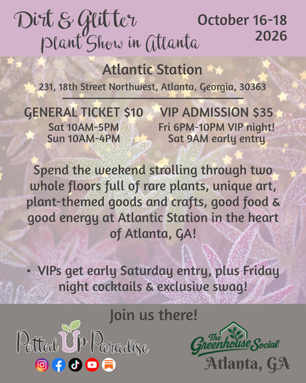 ad for live plant show event featuring branded color blocks on top and bottom of faded out picture of tropical plants with show info overlaid